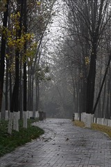 1000065534