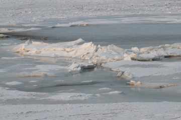 2011358