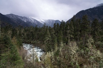 M_X_4367.jpg