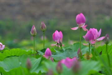 BB714B55-BD4E-44CF-8668-92F726C03441/L0/001