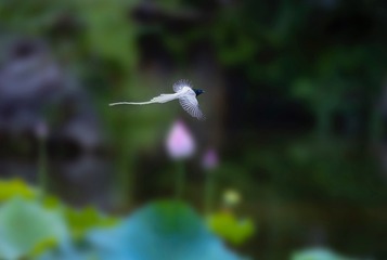 E7A011EC-B561-466B-823C-BA831845AB40/L0/001