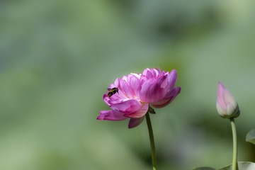 2A0B965C-8937-4CCC-82DD-58DB714D3348/L0/001