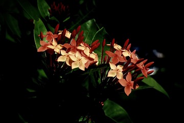 9CBBA7FA-5D51-4BCE-A50A-3F1BCC67A4B0/L0/001