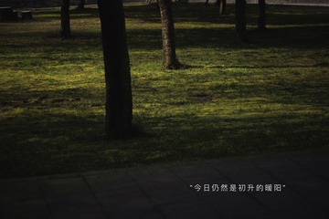 59491B0C-D4B8-4C6F-8E79-3C4AE429E73A/L0/001