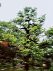 BC3FE4E7-26CE-4B25-9179-9E0AB0F9E149/L0/001