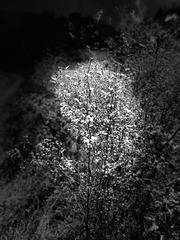 3AEAE3E8-7AEA-4C3C-83DE-E60D54AB13B9/L0/001