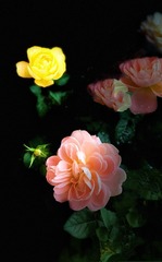A3CF3E8D-C248-4E0E-AF6A-ED2420CDADD2/L0/001