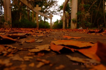 190884