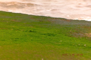190867