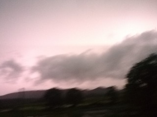 13291