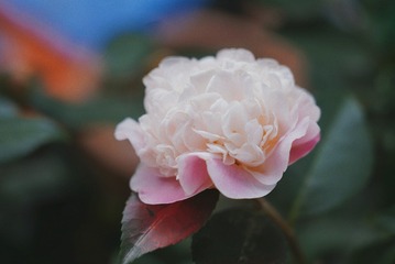 D841E19A-1072-446F-8208-3C68707A06A8/L0/001