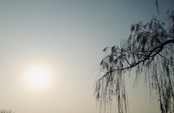 22489127-A773-4840-B786-D2D94AE5713C/L0/001