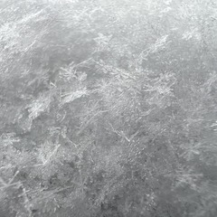 27C365A0-119A-4D2B-8D4C-1D6C60C68E91/L0/001