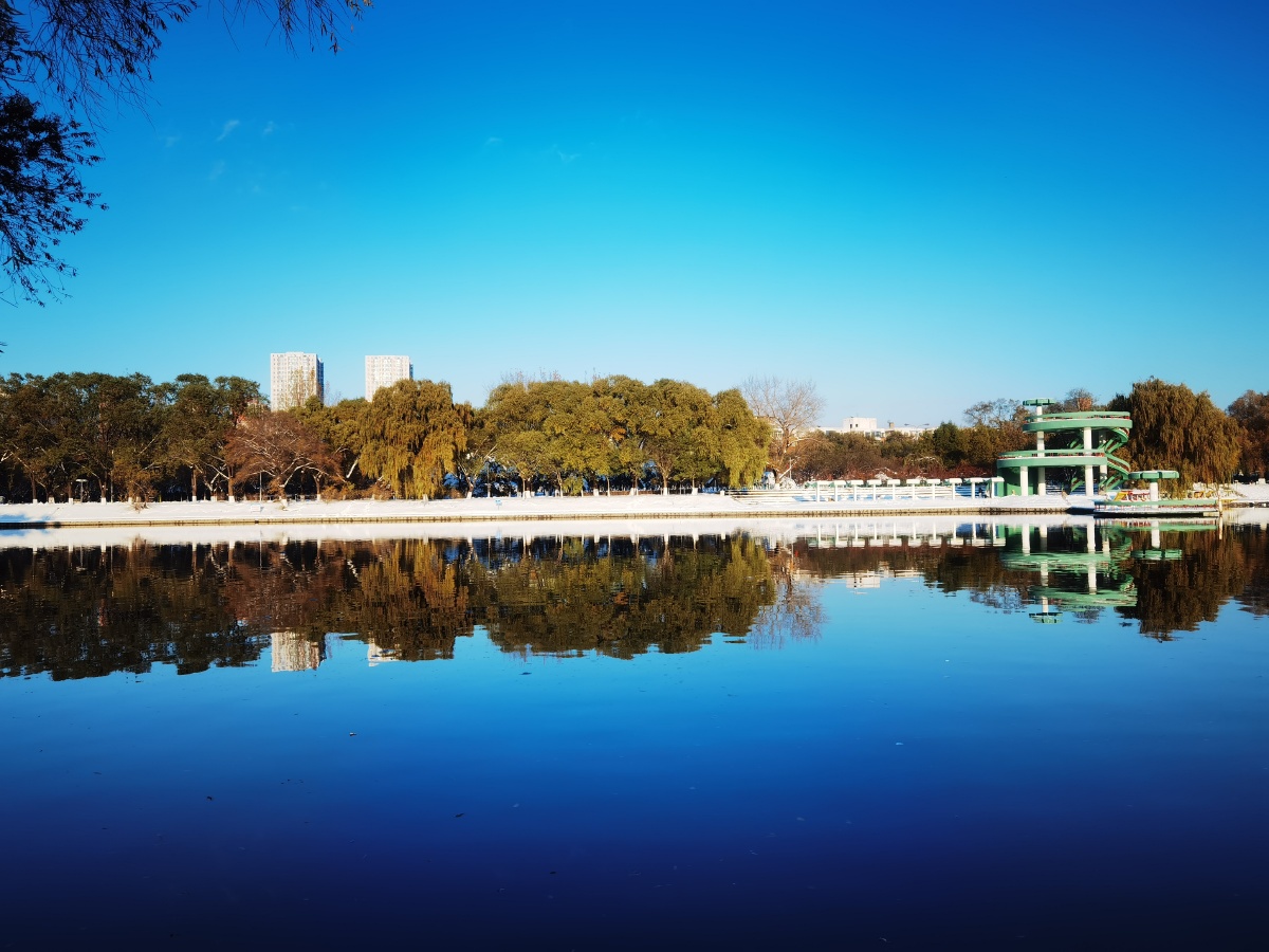 2021年沈阳第一场雪后晴空万里下万柳塘公园