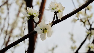 2499C885-2BE7-4A70-97D2-7368D34A5235/L0/001