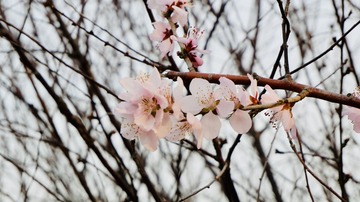 4803CB62-720D-4EED-A9D0-421B3EF299FD/L0/001