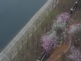 44A344D2-656E-43AE-8ACE-9FCC1E28ED94/L0/001