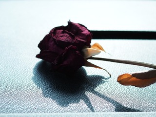 4605A6D9-4FF9-47BD-ABEA-C22D339C4E8F/L0/001