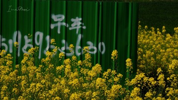 69A5CAF3-5445-4207-ABB0-6759590EE2F7/L0/001
