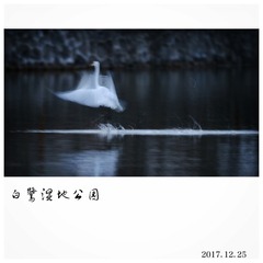980766