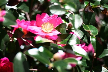 757CA835-A835-4E62-91DE-AE65782A0BB1/L0/001