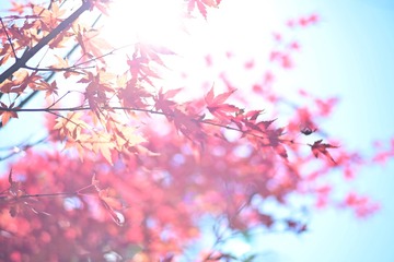 7C47E5FA-60AB-4AC4-BC98-86E6049C3BE1/L0/001