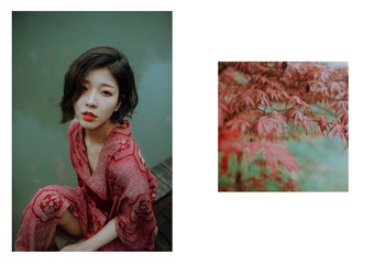 SUN_8387