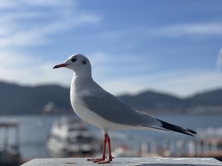 A5B0B6F9-55A8-412D-8E53-F3106F3738AC/L0/001