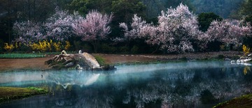 太子湾的晨曦