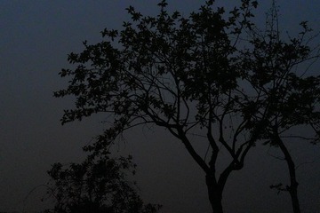 B30AA2D4-CC6D-403F-AC16-3EF484B75D89/L0/001