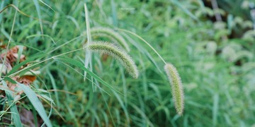 1995
