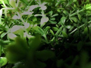 3810E61F-02C1-4402-8145-479A1A0B1F60/L0/001