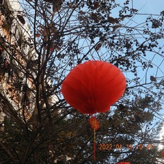 9E486410-8BD6-4C16-A98D-240FD8401609/L0/001