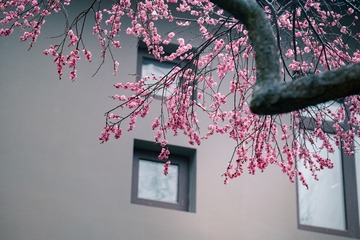 897D0C3C-7177-4B16-B31F-6EB92846AD36/L0/001