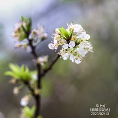 1004520