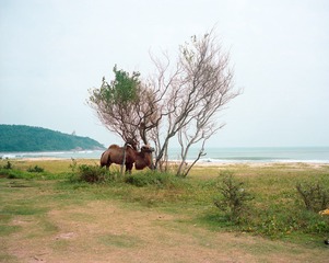 海南4