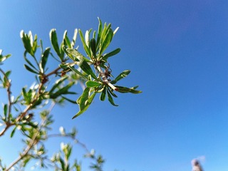 E9CB3553-366E-4FB1-B29E-D9B32D483F34/L0/001