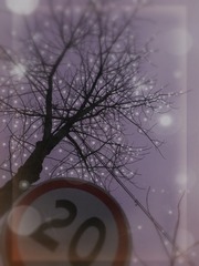 7B455DAE-649B-4C11-8623-21FDC4648078/L0/001