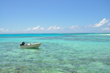 DSC_0267.JPG