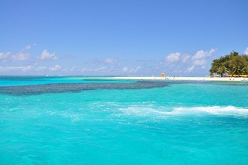 DSC_0269.JPG