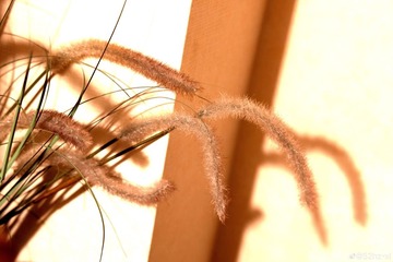 2F433059-7D0C-47FF-89A4-BD126AA0132D/L0/001
