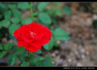 IMGP1295.JPG