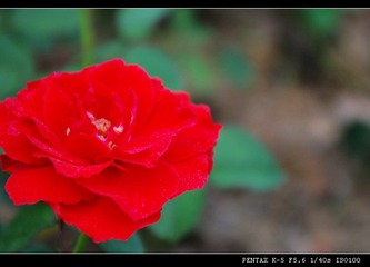 IMGP1297.JPG