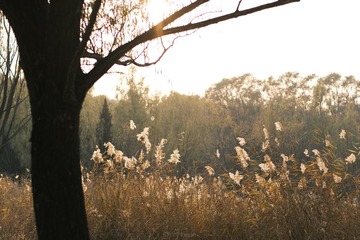 F4A78EB2-D057-4AA4-B4CF-E02BCE44344E/L0/001
