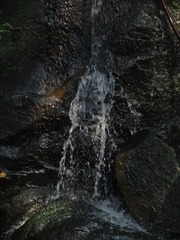 35368E30-28CA-4124-A89C-C69C09145EC9/L0/001