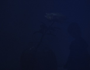 8A207CE7-78EC-43CC-BA0E-E3024F893041/L0/001