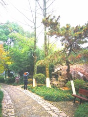 1305301
