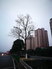 1305267