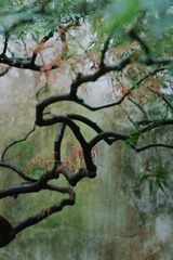 7B90E369-1454-4D56-8A22-4F2EC64E148A/L0/001