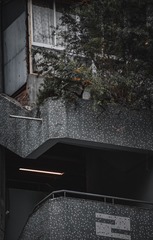 491053